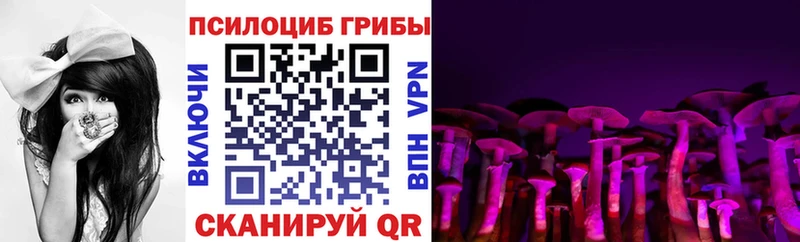 сколько стоит  Рыбинск  Галлюциногенные грибы прущие грибы 